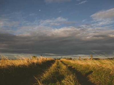 Becoming Electric Lit’s Deputy Editor Is My Dream Job. Reading Got Me Here