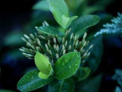 LegalZoom Promo Code: Exclusive 10% Off LLC Formations