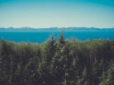 8 Sports Books by Women, Trans, and Nonbinary Authors