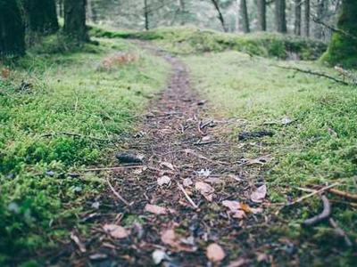 Scientists finally crack mystery of rare COVID vaccine blood clots