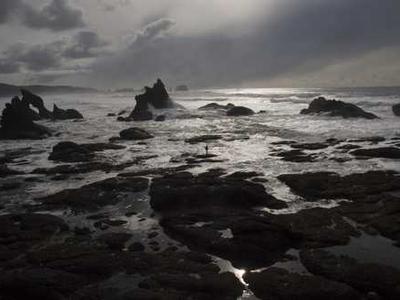 I May Be a Snake But I’ll Never Become Your Purse