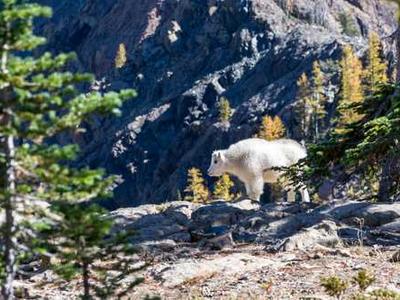 Project Silica’s advances in glass storage technology