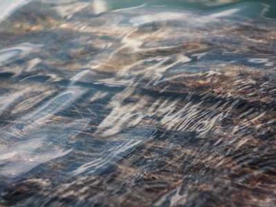 The latest Pixel 11 leak shows slimmer bezels and an all-black camera bar