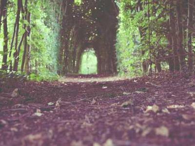 I May Be a Snake But I’ll Never Become Your Purse