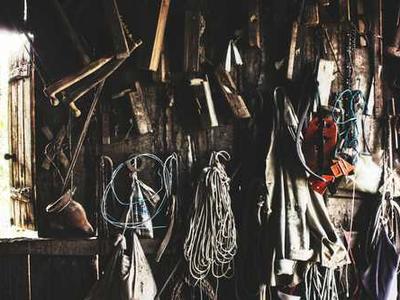 Skip the TSA Line: Where to Find Travel by Bus, Train, and Boat