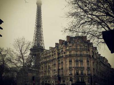 50% Off Chewy Promo Code | December 2025