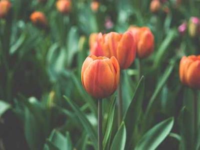 Meet the Tech Reporters Using AI to Help Write and Edit Their Stories