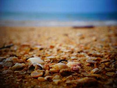 I May Be a Snake But I’ll Never Become Your Purse