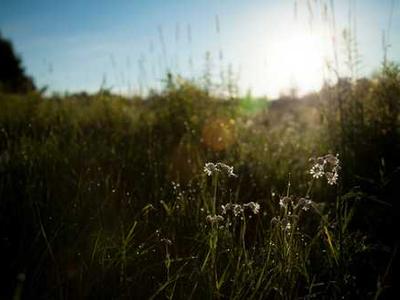 I May Be a Snake But I’ll Never Become Your Purse