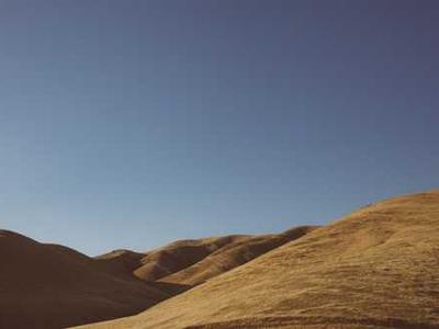 A Poetry Collection Where Play Collapses the Limits of Language