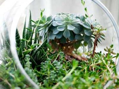 Okta’s CEO is betting big on AI agent identity