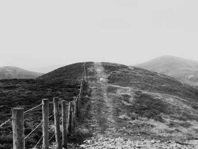 Becoming Electric Lit’s Deputy Editor Is My Dream Job. Reading Got Me Here