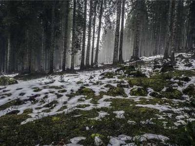 Phi-4-reasoning-vision and the lessons of training a multimodal reasoning model