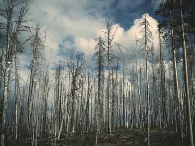 Spotify’s Prompted Playlists use AI to control your algorithm