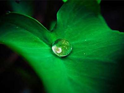 9 Novels About Women in the Wild