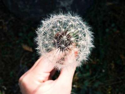 A new manufacturing process uses lasers to seal paper packaging instead of glue