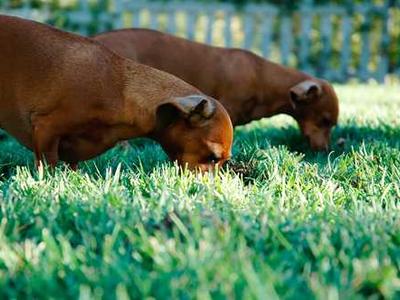 Xbox’s next big games showcase happens on June 7th