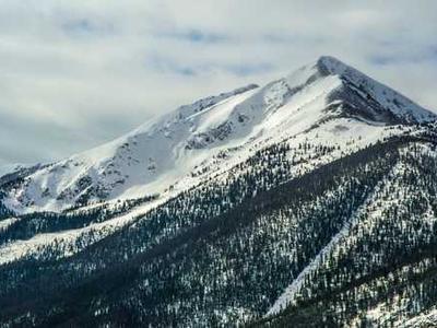 Loop Earplugs Discount Codes and Deals: Save on Ear Buds and Gift Sets