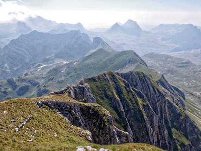 I Wish It Wasn’t My Job to Ask You About Jelly